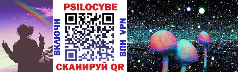 Купить закладки  Задонск  Галлюциногенные грибы Psilocybine cubensis 